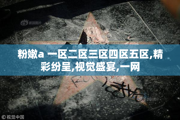 粉嫩a 一区二区三区四区五区,精彩纷呈,视觉盛宴,一网