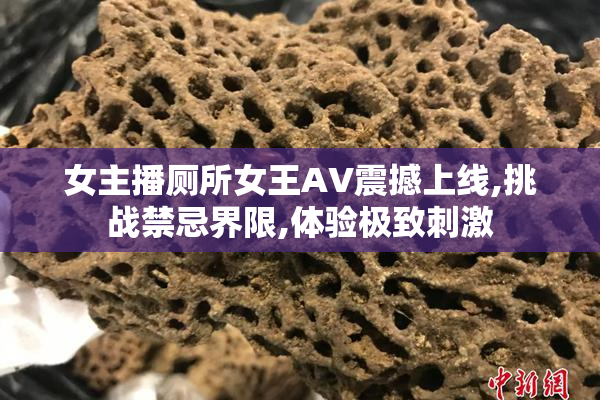 女主播厕所女王AV震撼上线,挑战禁忌界限,体验极致刺激