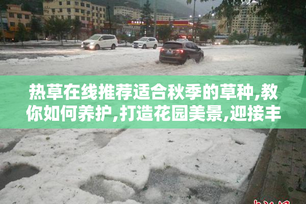 热草在线推荐适合秋季的草种,教你如何养护,打造花园美景,迎接丰收