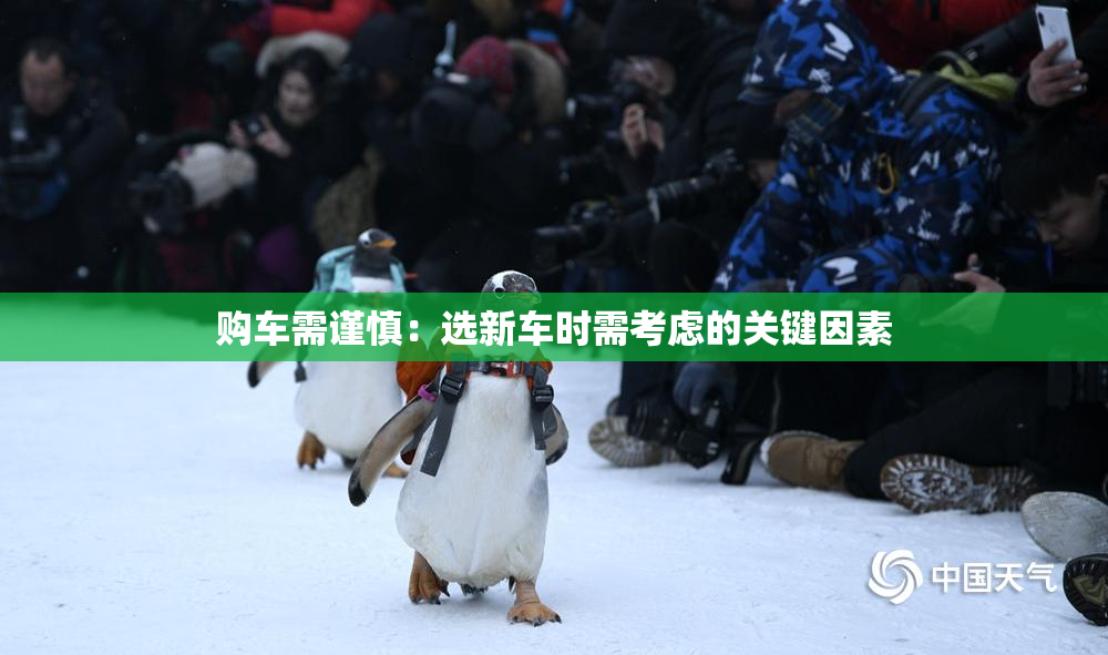 购车需谨慎：选新车时需考虑的关键因素