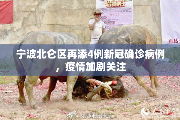 宁波北仑区再添4例新冠确诊病例，疫情加剧关注