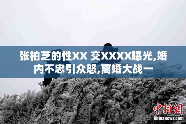 张柏芝的性XX 交XXXX曝光,婚内不忠引众怒,离婚大战一