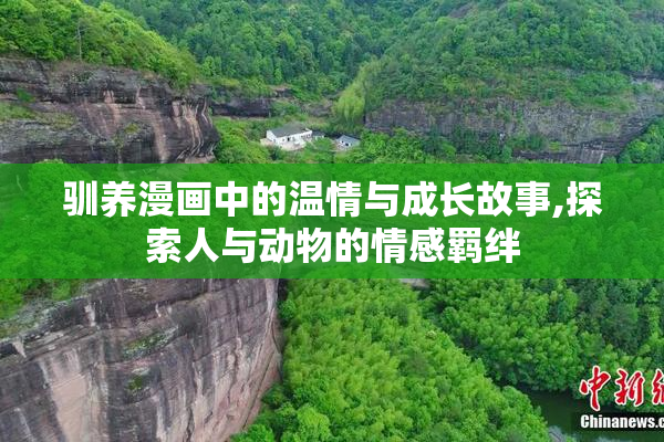 驯养漫画中的温情与成长故事,探索人与动物的情感羁绊