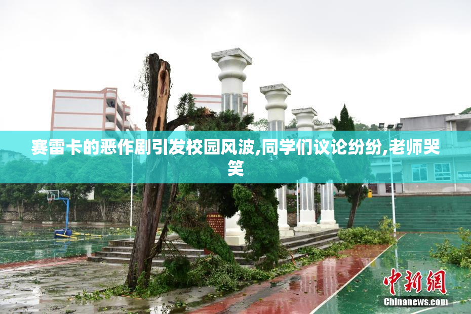 赛雷卡的恶作剧引发校园风波,同学们议论纷纷,老师哭笑