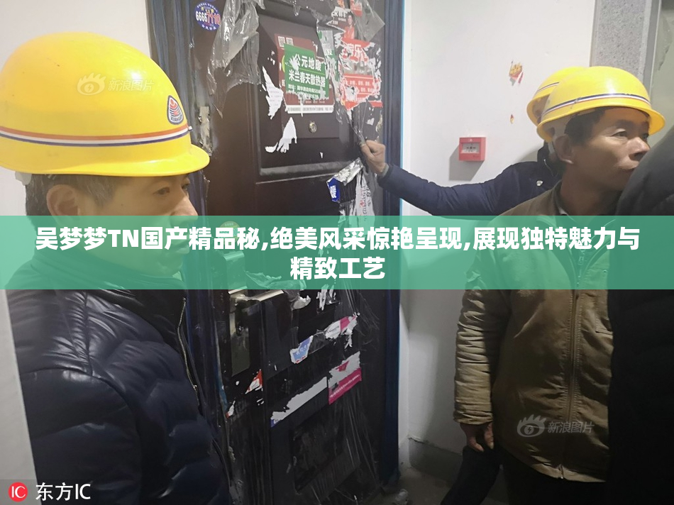吴梦梦TN国产精品秘,绝美风采惊艳呈现,展现独特魅力与精致工艺