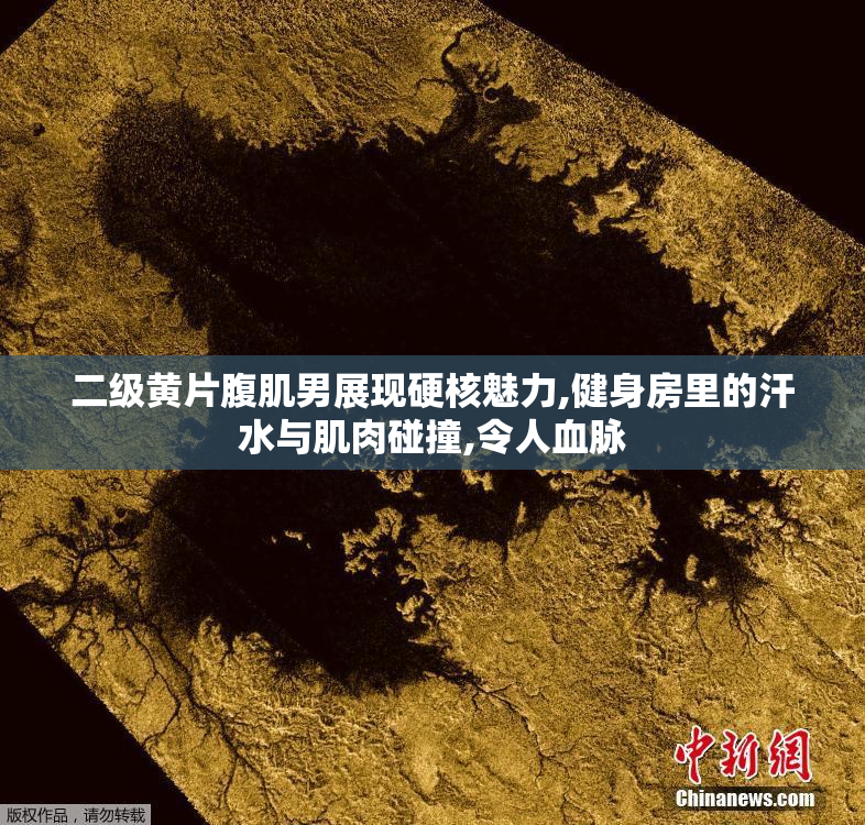 二级黄片腹肌男展现硬核魅力,健身房里的汗水与肌肉碰撞,令人血脉
