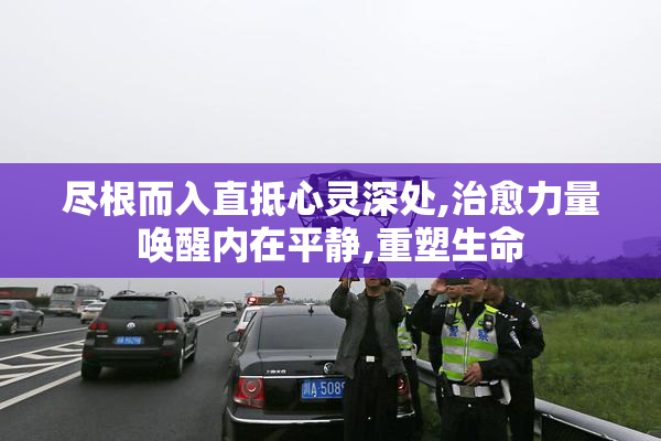 尽根而入直抵心灵深处,治愈力量唤醒内在平静,重塑生命