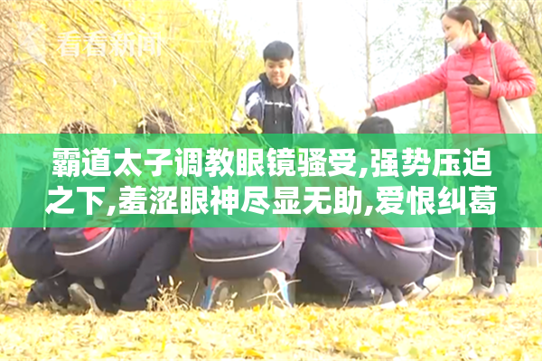 霸道太子调教眼镜骚受,强势压迫之下,羞涩眼神尽显无助,爱恨纠葛