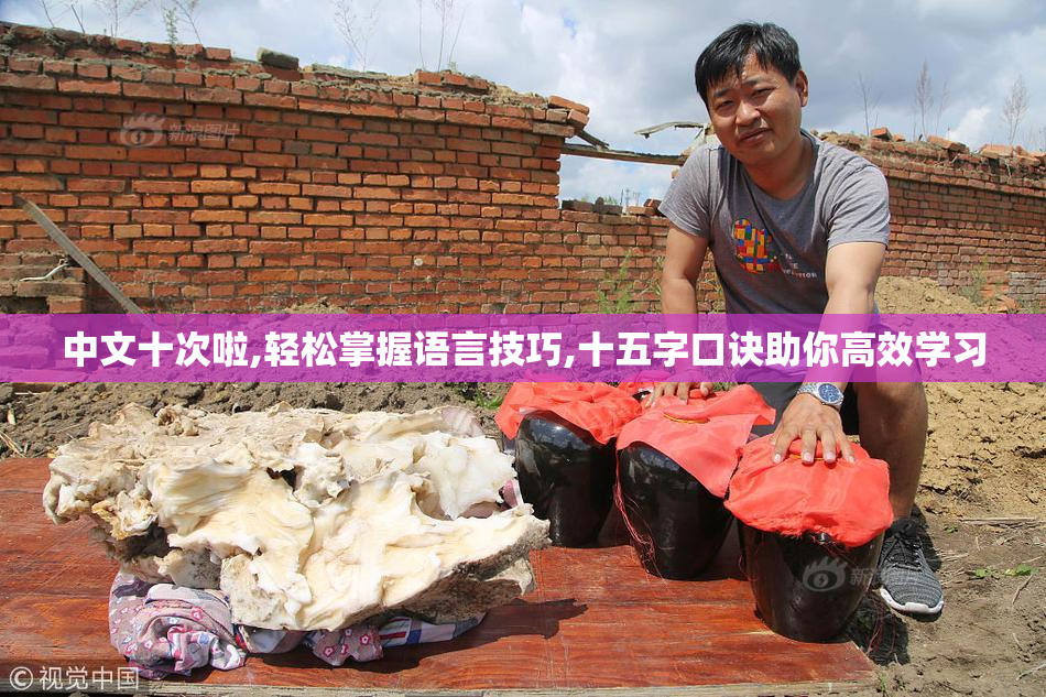 中文十次啦,轻松掌握语言技巧,十五字口诀助你高效学习