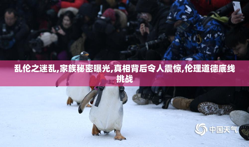 乱伦之迷乱,家族秘密曝光,真相背后令人震惊,伦理道德底线挑战