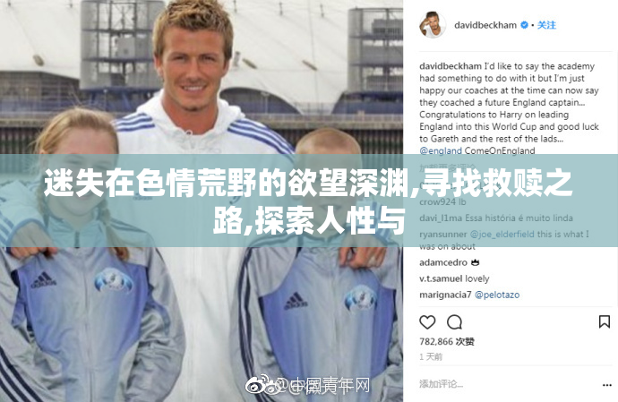 迷失在色情荒野的欲望深渊,寻找救赎之路,探索人性与