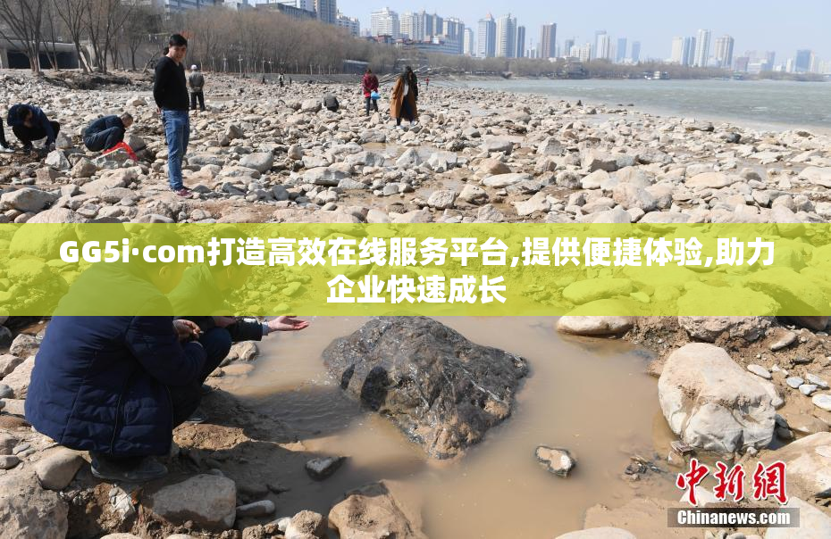 GG5i·com打造高效在线服务平台,提供便捷体验,助力企业快速成长