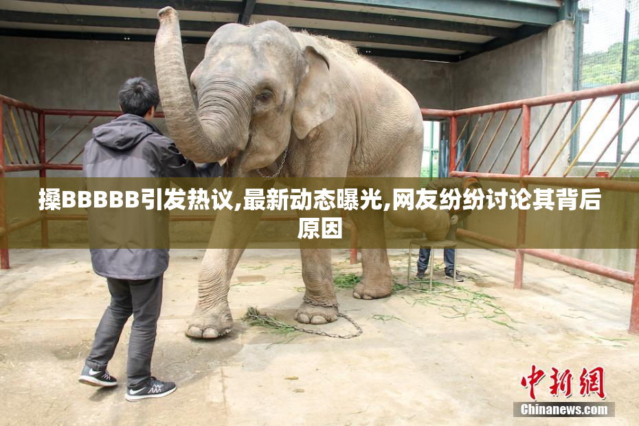 搡BBBBB引发热议,最新动态曝光,网友纷纷讨论其背后原因