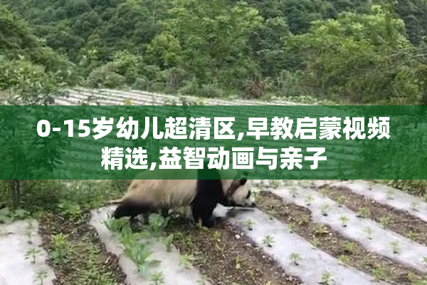 0-15岁幼儿超清区,早教启蒙视频精选,益智动画与亲子