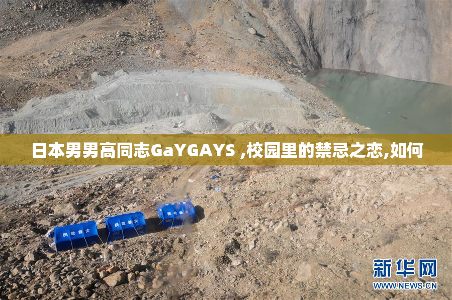 日本男男高同志GaYGAYS ,校园里的禁忌之恋,如何