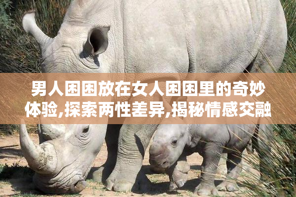 男人困困放在女人困困里的奇妙体验,探索两性差异,揭秘情感交融的