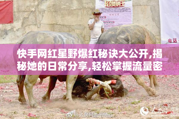 快手网红星野爆红秘诀大公开,揭秘她的日常分享,轻松掌握流量密码