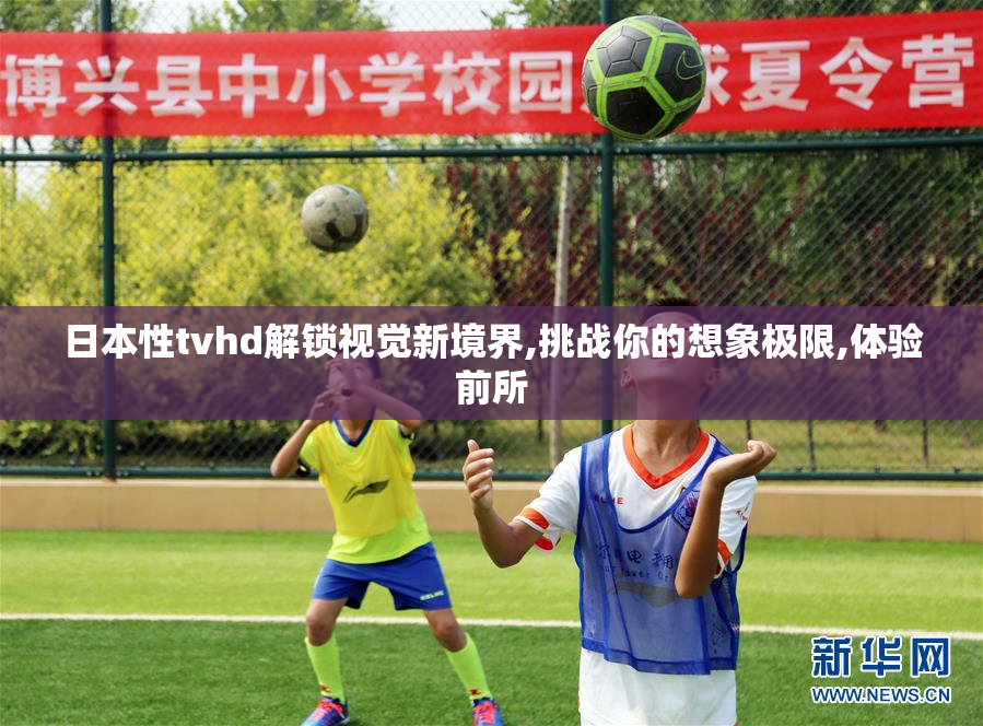 日本性tvhd解锁视觉新境界,挑战你的想象极限,体验前所