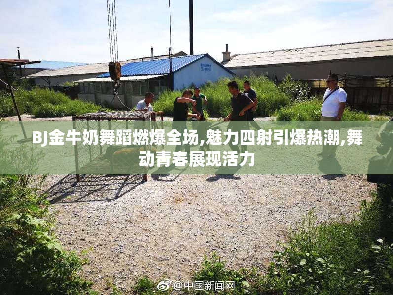 BJ金牛奶舞蹈燃爆全场,魅力四射引爆热潮,舞动青春展现活力
