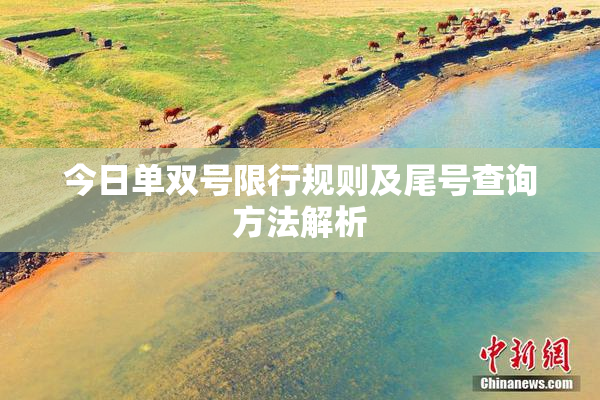 今日单双号限行规则及尾号查询方法解析
