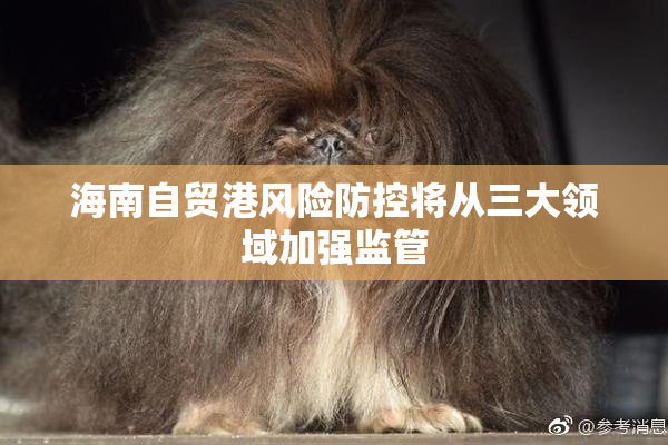 海南自贸港风险防控将从三大领域加强监管