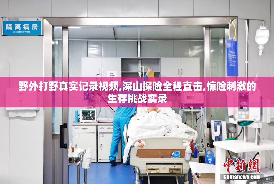 野外打野真实记录视频,深山探险全程直击,惊险刺激的生存挑战实录