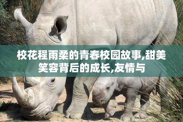 校花程雨柔的青春校园故事,甜美笑容背后的成长,友情与