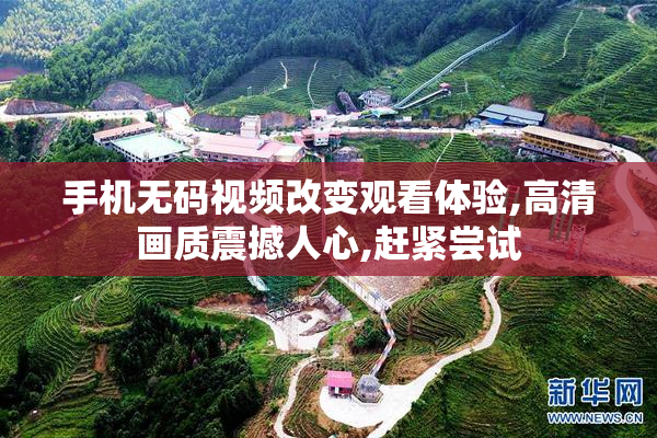 手机无码视频改变观看体验,高清画质震撼人心,赶紧尝试
