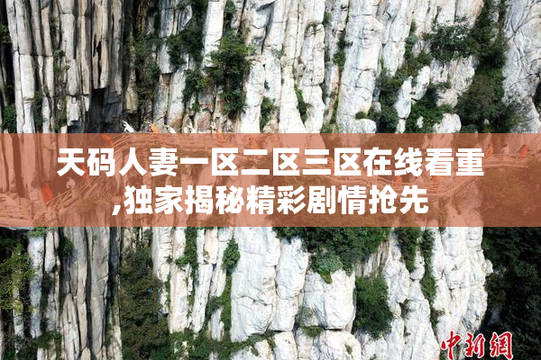 天码人妻一区二区三区在线看重,独家揭秘精彩剧情抢先