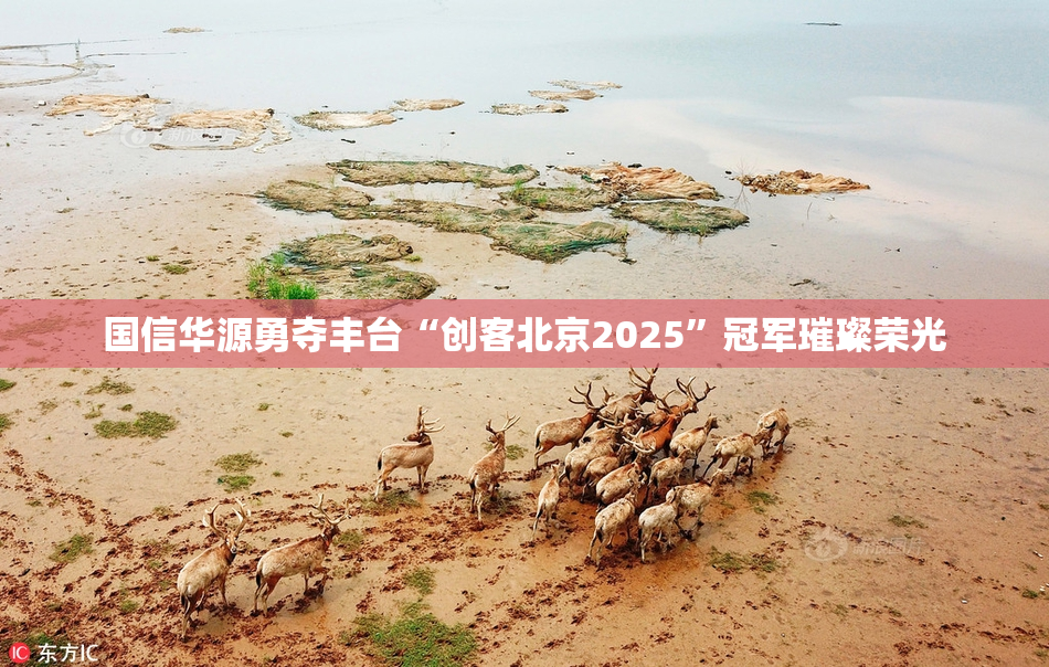 国信华源勇夺丰台“创客北京2025”冠军璀璨荣光