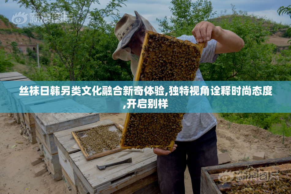 丝袜日韩另类文化融合新奇体验,独特视角诠释时尚态度,开启别样