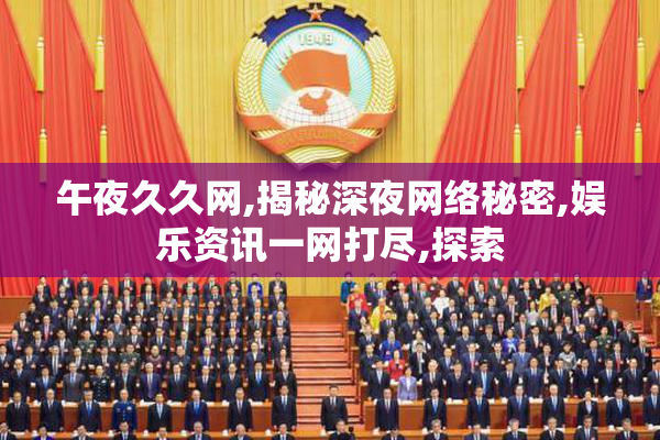 午夜久久网,揭秘深夜网络秘密,娱乐资讯一网打尽,探索