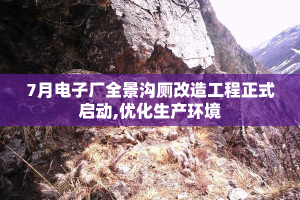 7月电子厂全景沟厕改造工程正式启动,优化生产环境