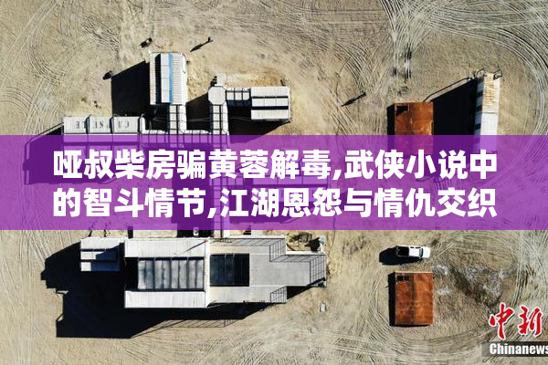 哑叔柴房骗黄蓉解毒,武侠小说中的智斗情节,江湖恩怨与情仇交织的