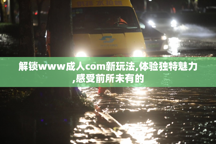 解锁www成人com新玩法,体验独特魅力,感受前所未有的