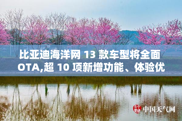 比亚迪海洋网 13 款车型将全面 OTA,超 10 项新增功能、体验优化