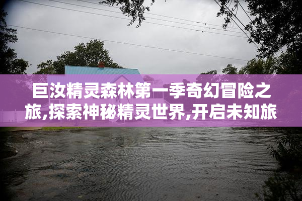 巨汝精灵森林第一季奇幻冒险之旅,探索神秘精灵世界,开启未知旅程
