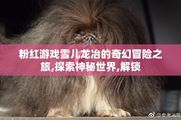 粉红游戏雪儿龙冶的奇幻冒险之旅,探索神秘世界,解锁