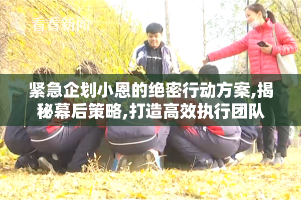 紧急企划小恩的绝密行动方案,揭秘幕后策略,打造高效执行团队