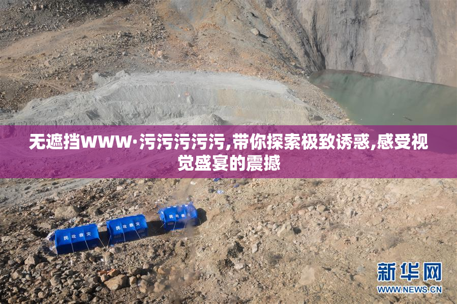 无遮挡WWW·污污污污污,带你探索极致诱惑,感受视觉盛宴的震撼