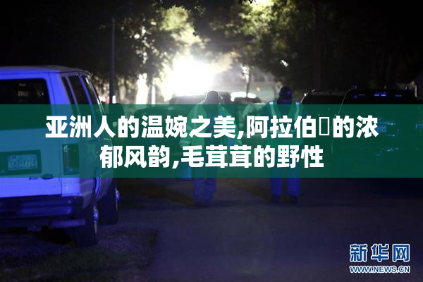 亚洲人的温婉之美,阿拉伯屄的浓郁风韵,毛茸茸的野性