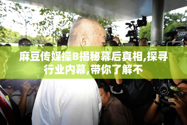 麻豆传媒操B揭秘幕后真相,探寻行业内幕,带你了解不