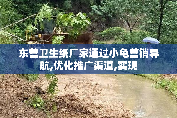 东营卫生纸厂家通过小龟营销导航,优化推广渠道,实现