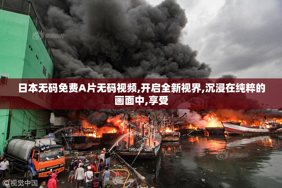 日本无码免费A片无码视频,开启全新视界,沉浸在纯粹的画面中,享受