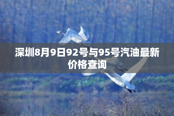 深圳8月9日92号与95号汽油最新价格查询