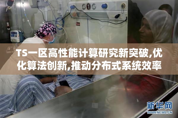 TS一区高性能计算研究新突破,优化算法创新,推动分布式系统效率提升