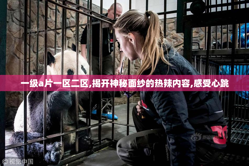 一级a片一区二区,揭开神秘面纱的热辣内容,感受心跳
