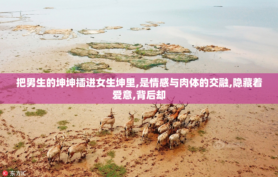 把男生的坤坤插进女生坤里,是情感与肉体的交融,隐藏着爱意,背后却