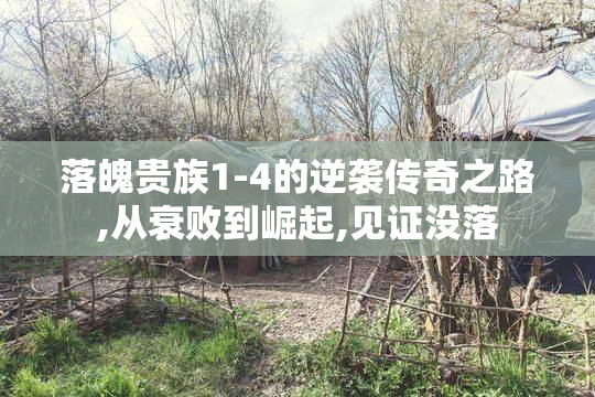 落魄贵族1-4的逆袭传奇之路,从衰败到崛起,见证没落