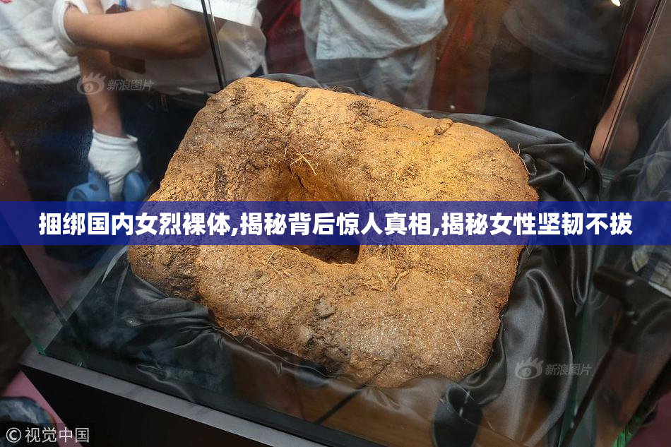 捆绑国内女烈裸体,揭秘背后惊人真相,揭秘女性坚韧不拔